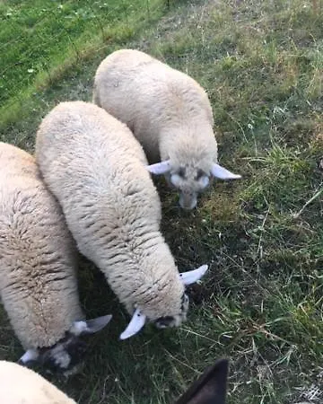 Roubenka Kristynka * Pec pod Snezkou